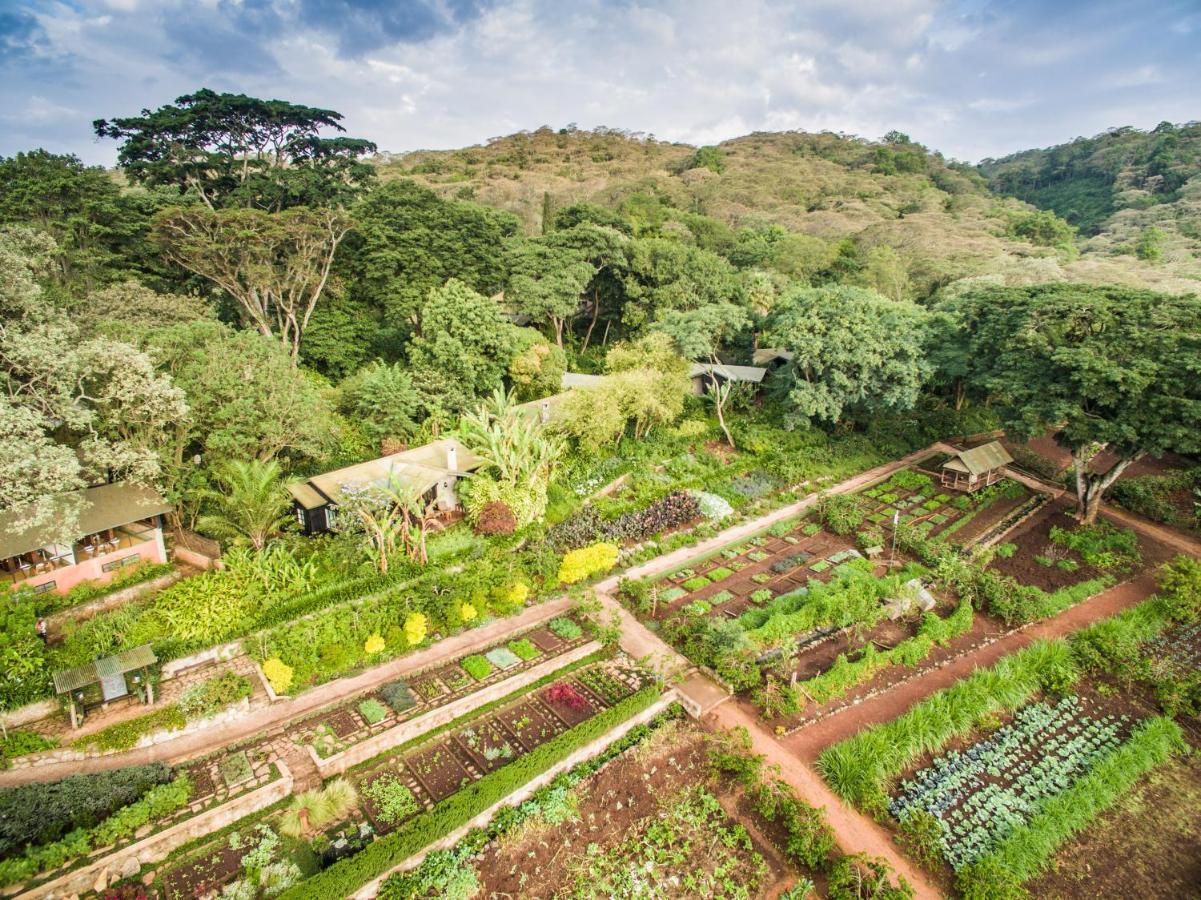 Hotel Gibb'S Farm Karatu Exterior foto